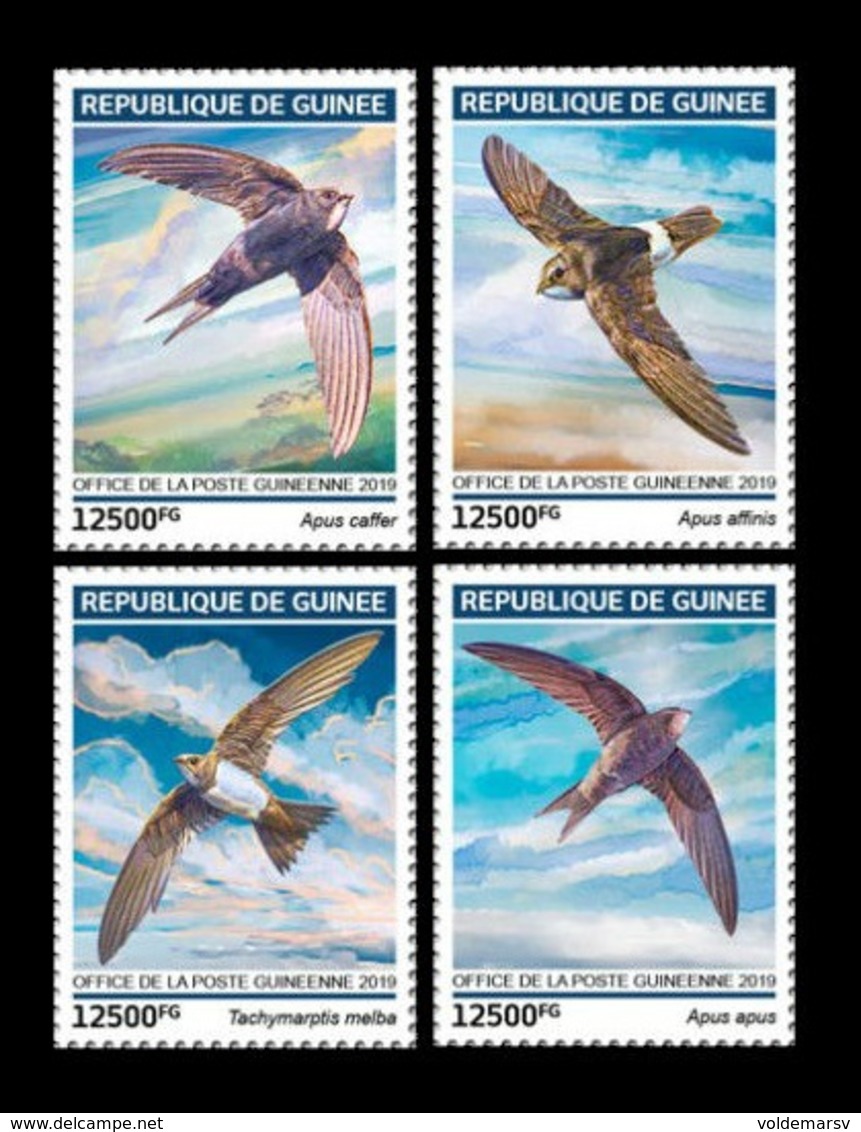 Guinea 2019 Mih. 13600/03 Fauna. Birds. Swifts MNH ** - Guinea (1958-...)