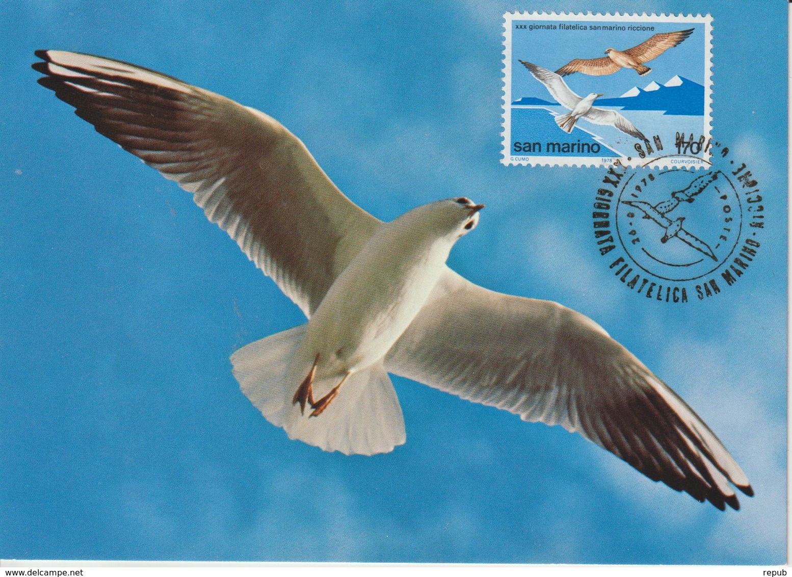 Saint Marin Carte Maximum 1978 Oiseaux Mouette 963 - Lettres & Documents