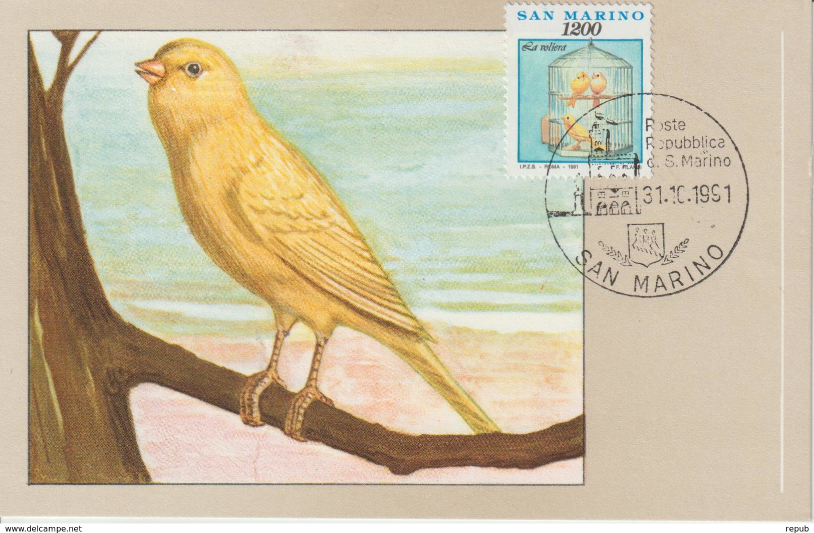 Saint Marin Carte Maximum 1991 Oiseaux Canaris 1277 - Lettres & Documents