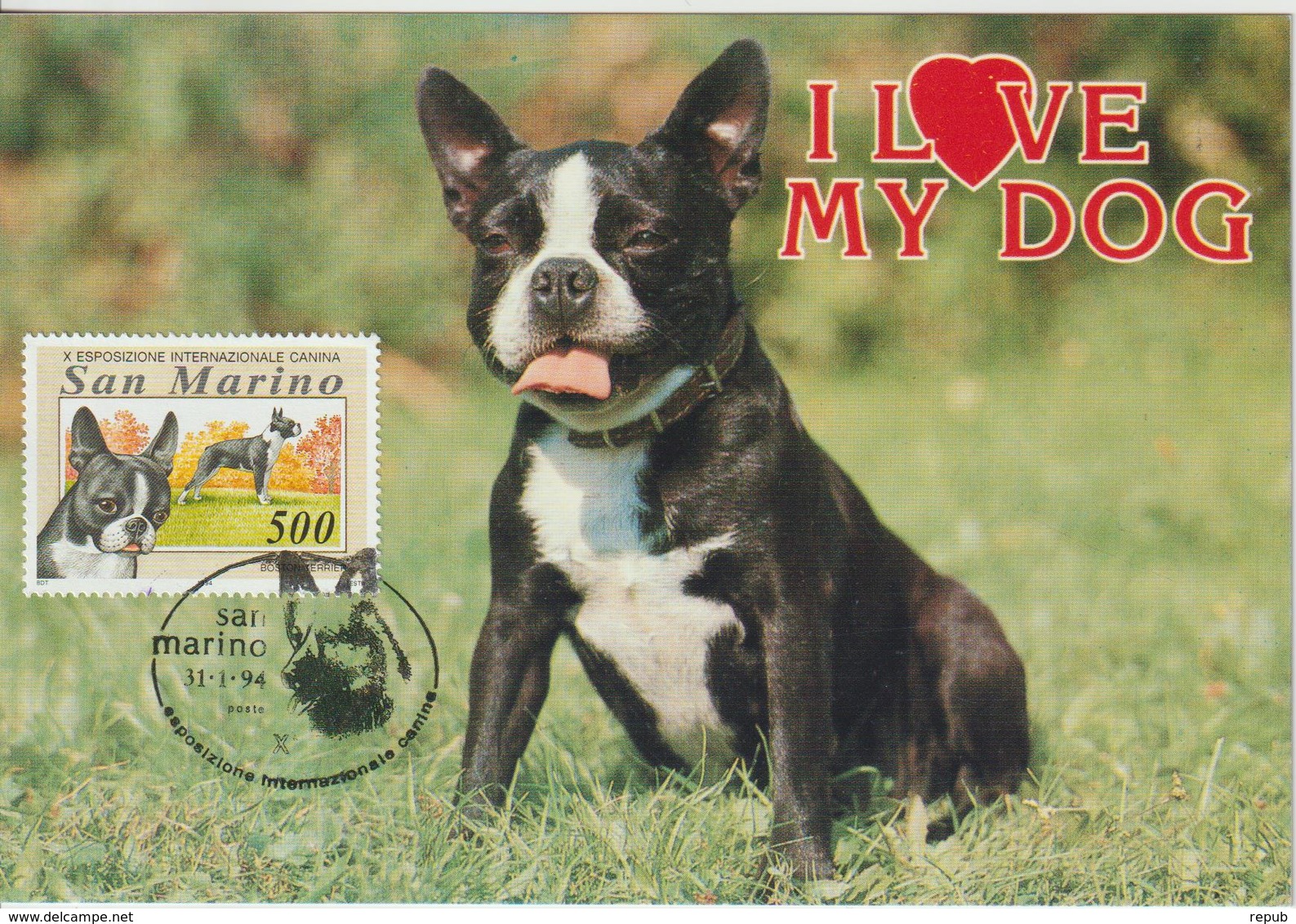 Saint Marin Carte Maximum 1991 Animaux Chien 1354 - Storia Postale