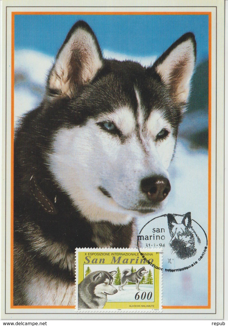 Saint Marin Carte Maximum 1991 Animaux Chien 1356 - Lettres & Documents