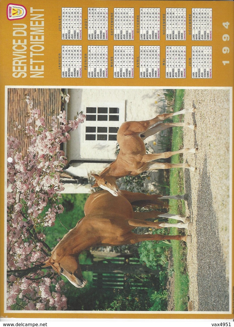 CALENDRIER  SERVICE DU NETTOIEMENT  DES EBOUEURS    ANNEE 1994  CHEVAL  ****   A  SAISIR  *** - Grand Format : 1991-00