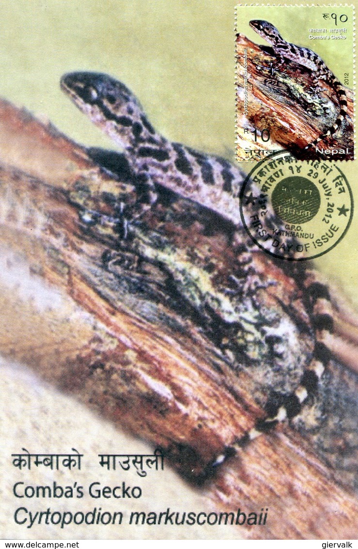 NEPAL 2012 MAX.CARD With LIZARD.BARGAIN.!! - Andere & Zonder Classificatie