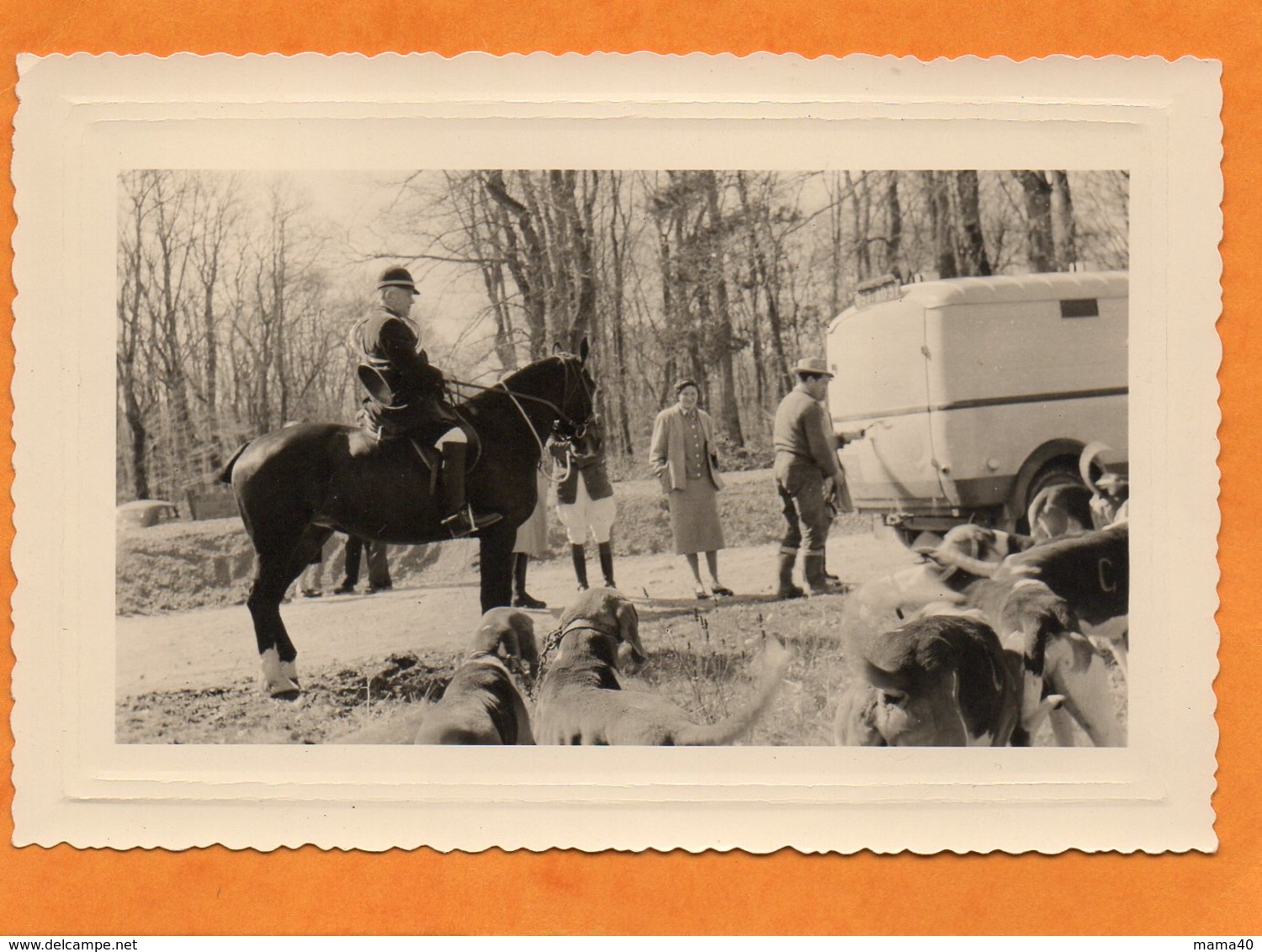 PHOTO - CHASSE A COURRE - MEUTE DE CHIENS - HOMME SUR CHEVAL AVEC COR DE CHASSE - Sports