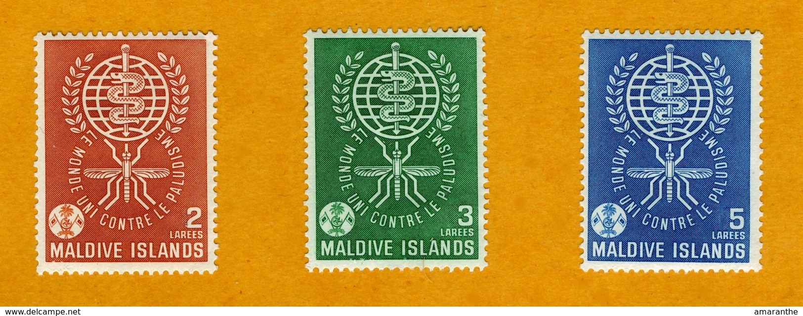 Eradication Du Paludisme 1962 - Malediven (...-1965)