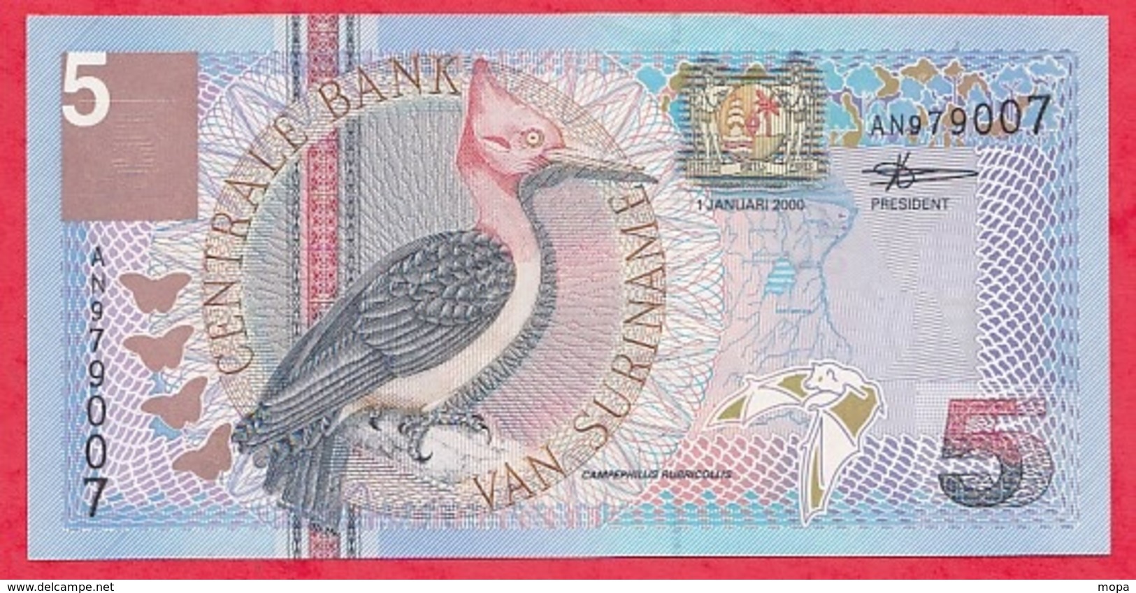 Surinam 1 Billet De  5 Gulden Du 01/01/2000 En UNC Lot N °6 - Surinam