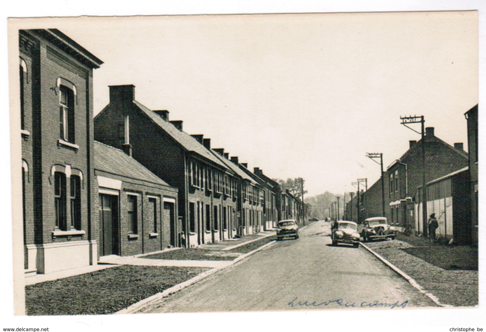 Quevaucamps, Rue E Royer (pk59224) - Beloeil