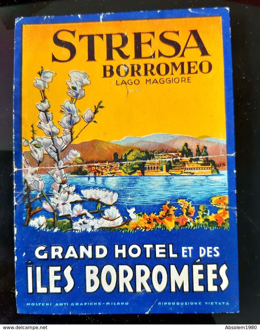 GRAND HOTEL ILES BORROMEES STRESA BORROMEO LAGO MAGGIORE ITALIE ITALIE ETIQUETTE LUGGAGE LABEL ETICHETTA ETIQUETA - Etiquettes D'hotels