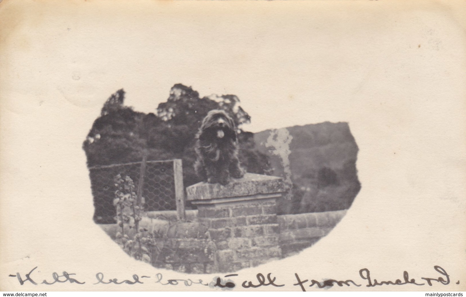 AN15 Animals, Spaniel Dog Sitting On A Pillar -private Photo, UB, 1903 Hemel Hempstead Duplex Postmark - Cani