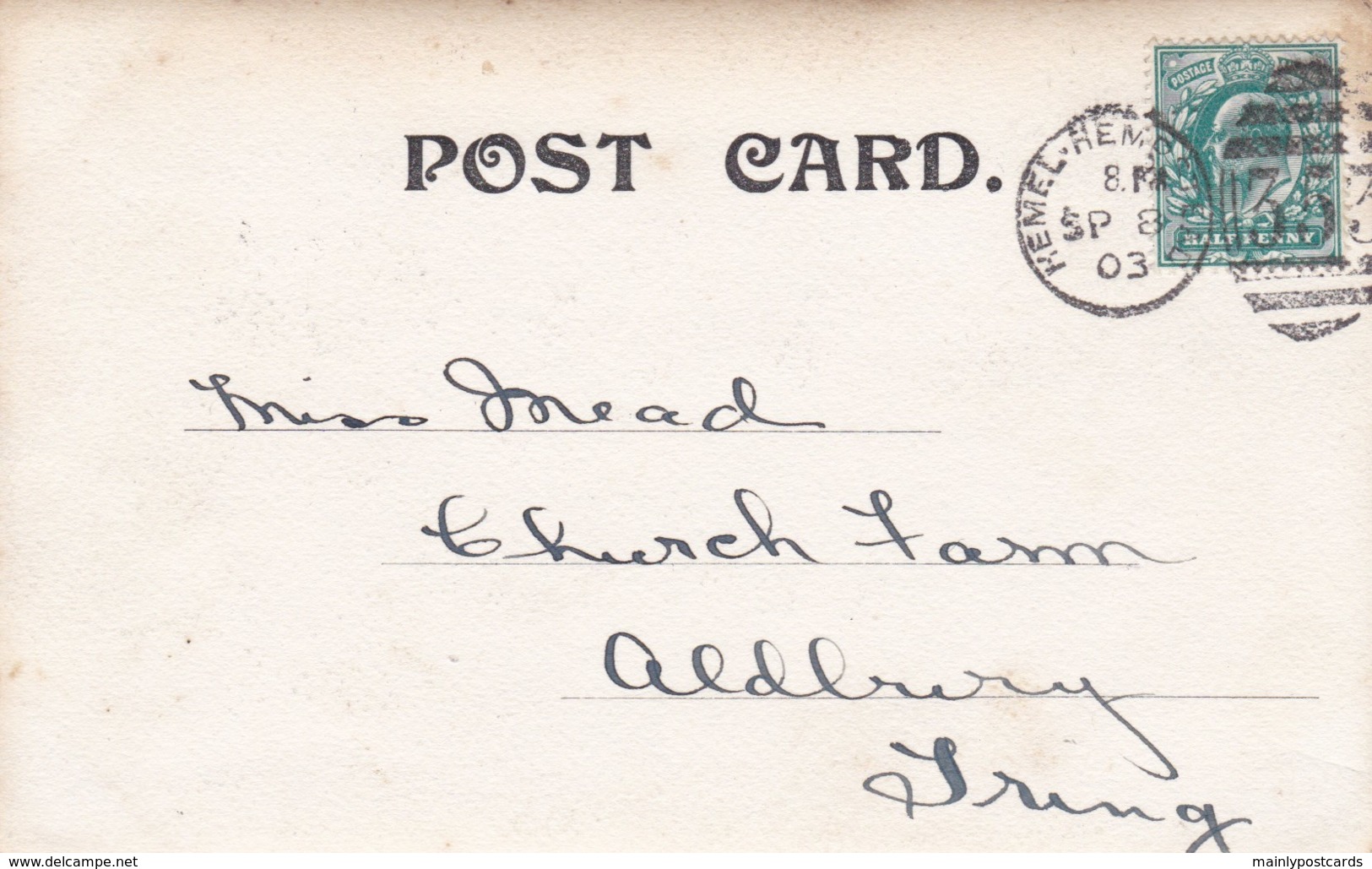 AN15 Animals, Spaniel Dog Sitting On A Pillar -private Photo, UB, 1903 Hemel Hempstead Duplex Postmark - Cani