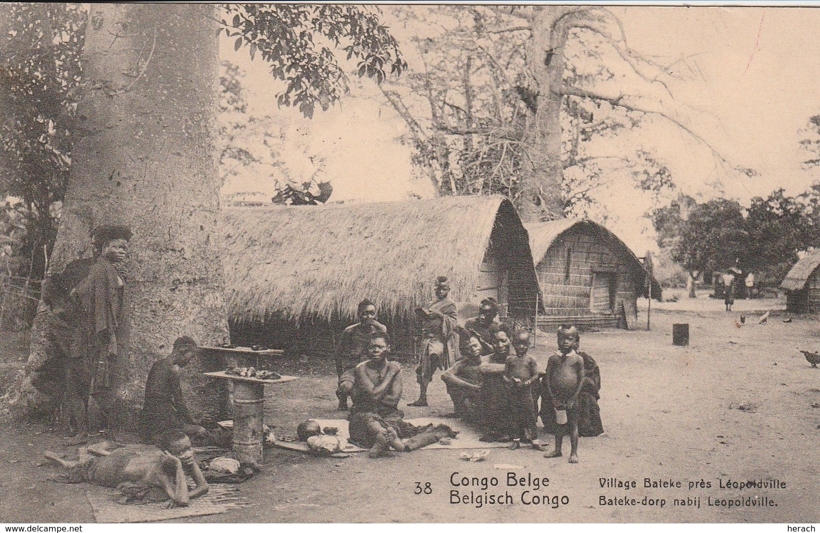 Congo Belge Entier Postal Illustré Pour La Belgique 1913 - Postwaardestukken