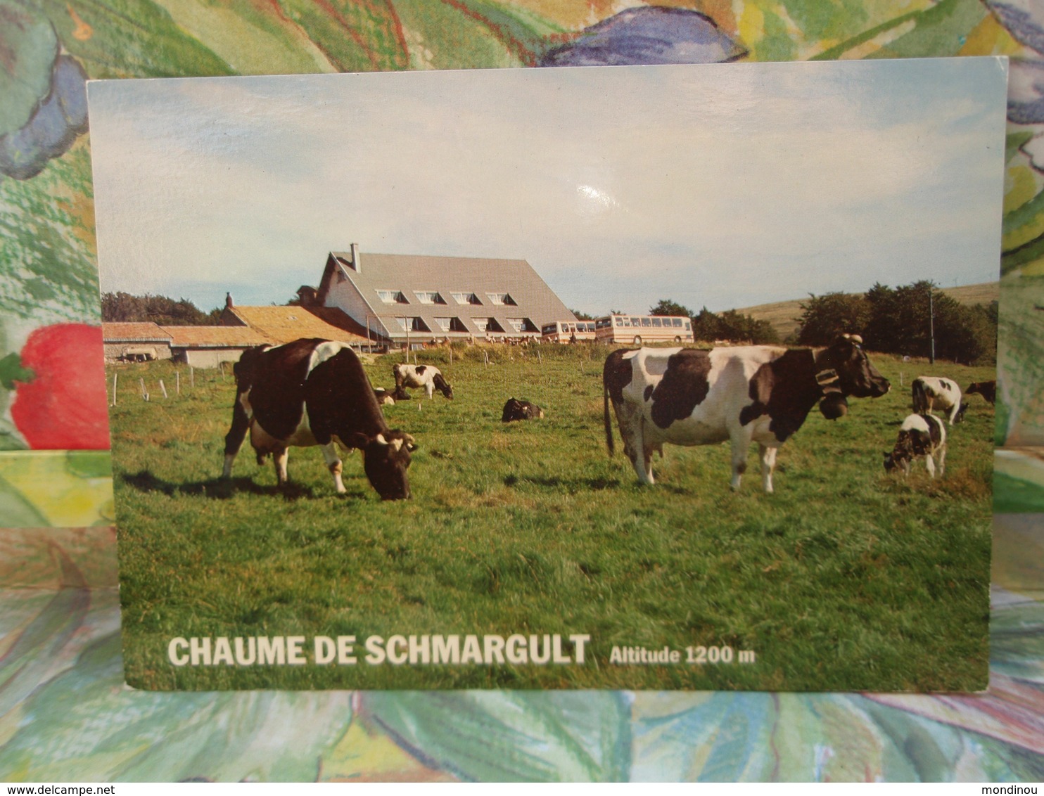 Chaume De Schmargult. Route Des Crêtes LA BRESSE 88400 GERARDMER - Autres & Non Classés