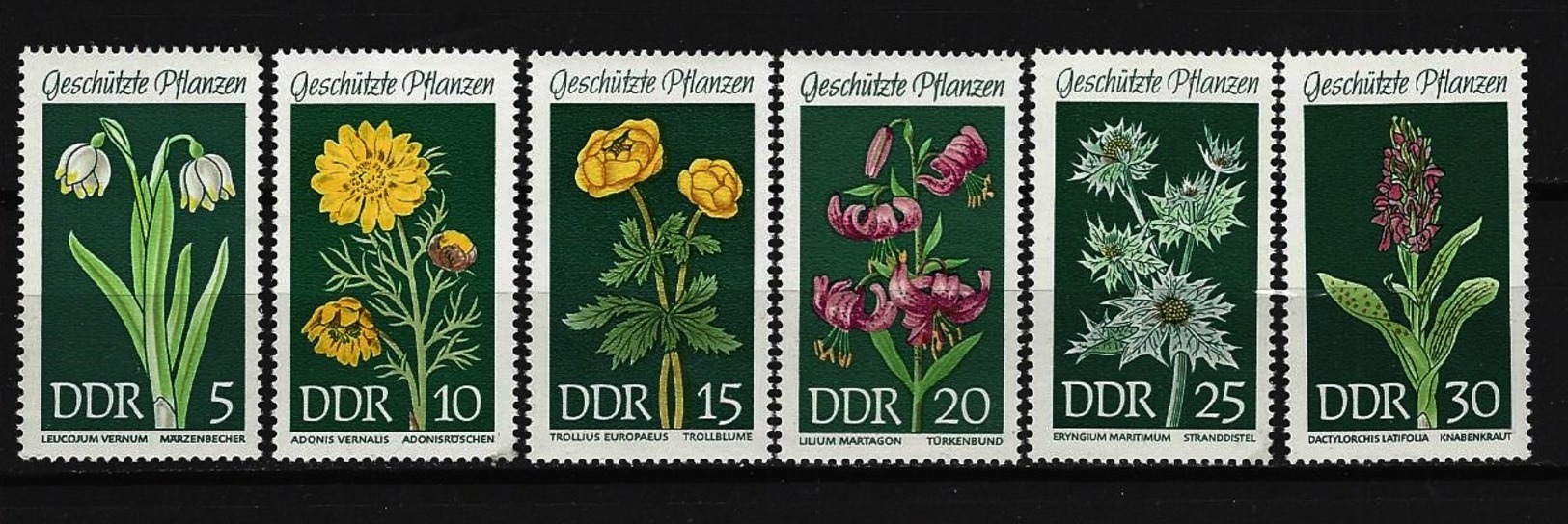 DDR - Komplettsatz Mi-Nr. 1456 - 1461 Geschützte Heimische Pflanzen Postfrisch - Ungebraucht