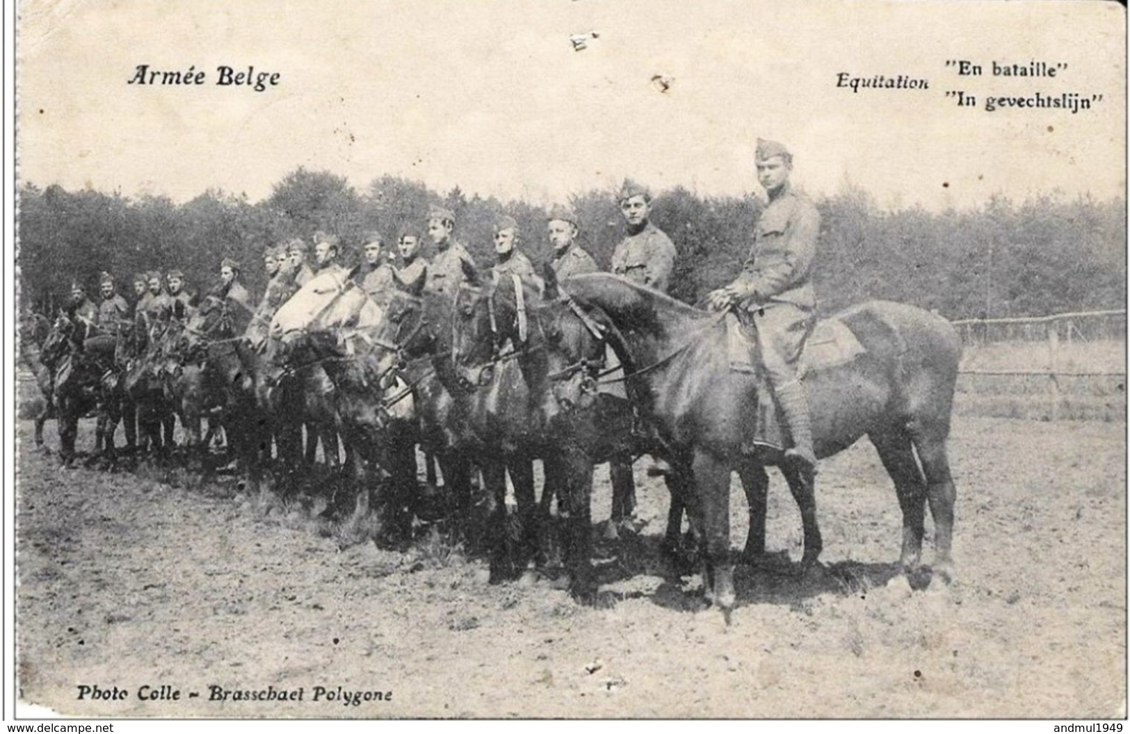 BRASSCHAET POLYGONE - Armée Belge, Equitation "En Bataille". Oblitération : 08/12/1919 - Regiments
