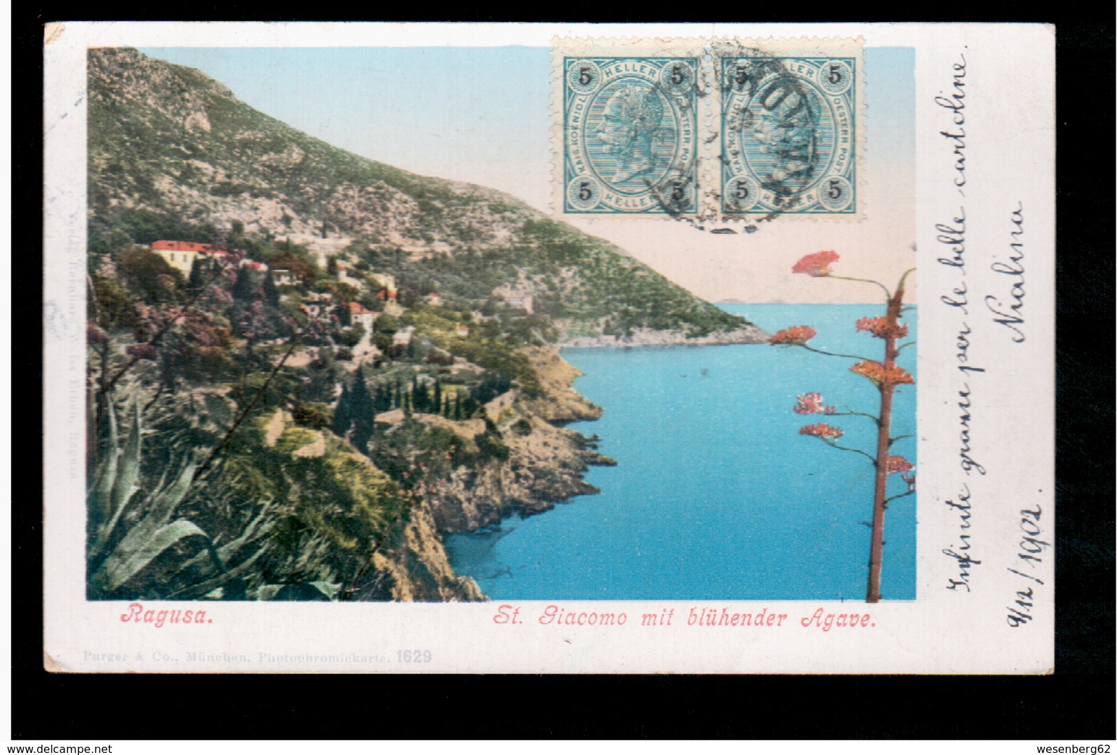 CROATIA Dubrovnik Ragusa  St Giacomo Mit Blühender Agave 1902 OLD POSTCARD - Croatie