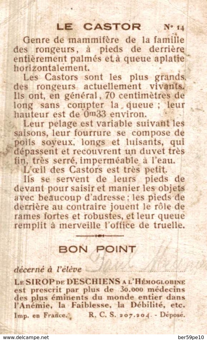 CHROMO BON POINT LE SIROP DE DESCHIENS  CASTOR - Other & Unclassified