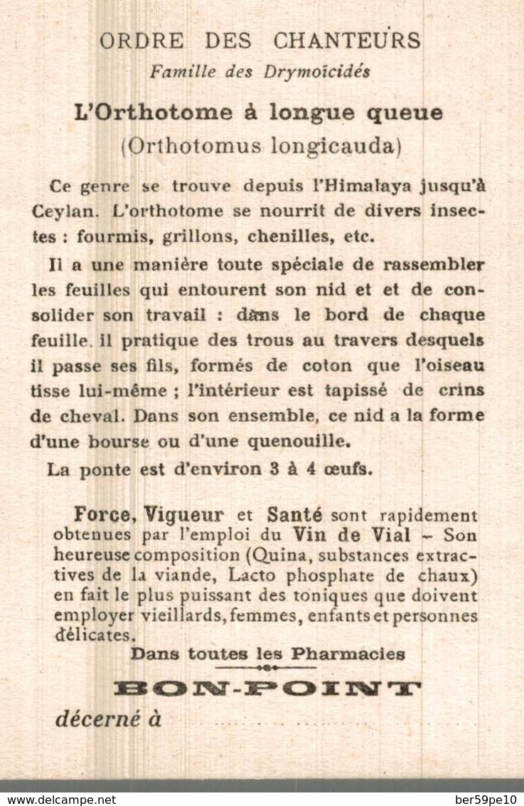 CHROMO BON POINT VIN DE VIAL  OEUFS ET NIDS  L'ORTHOTOME A LONGUE QUEUE - Otros & Sin Clasificación