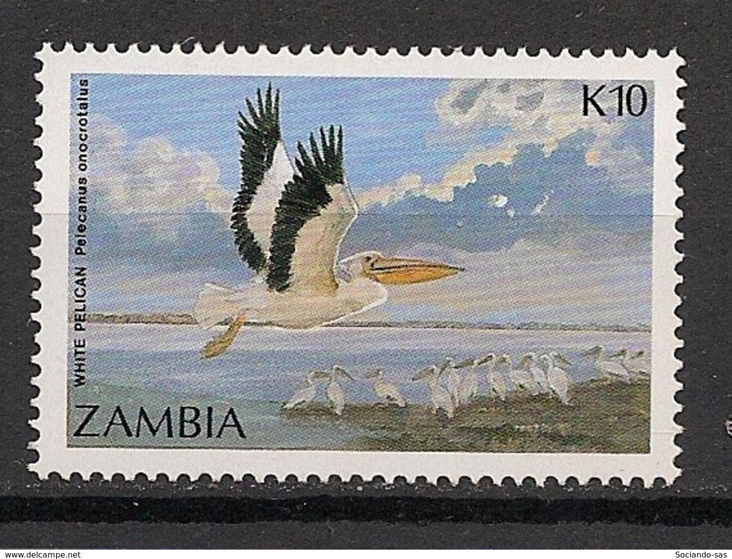 Zambia - 1987 - N°Yv. 387 - Pélican - Neuf Luxe ** / MNH / Postfrisch - Pélicans