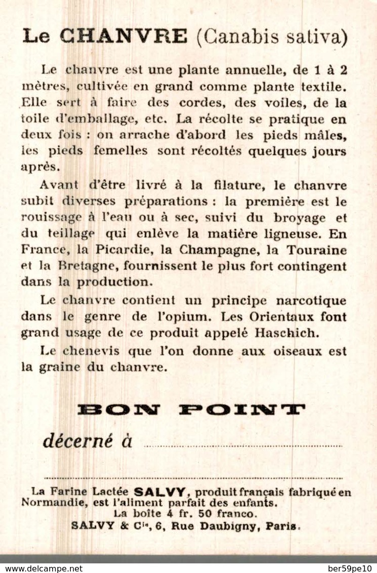 CHROMO BON POINT DRAGEES DE TABUROL MONAL  DANS LES GRANDES CULTURES  LE CHANVRE - Autres & Non Classés