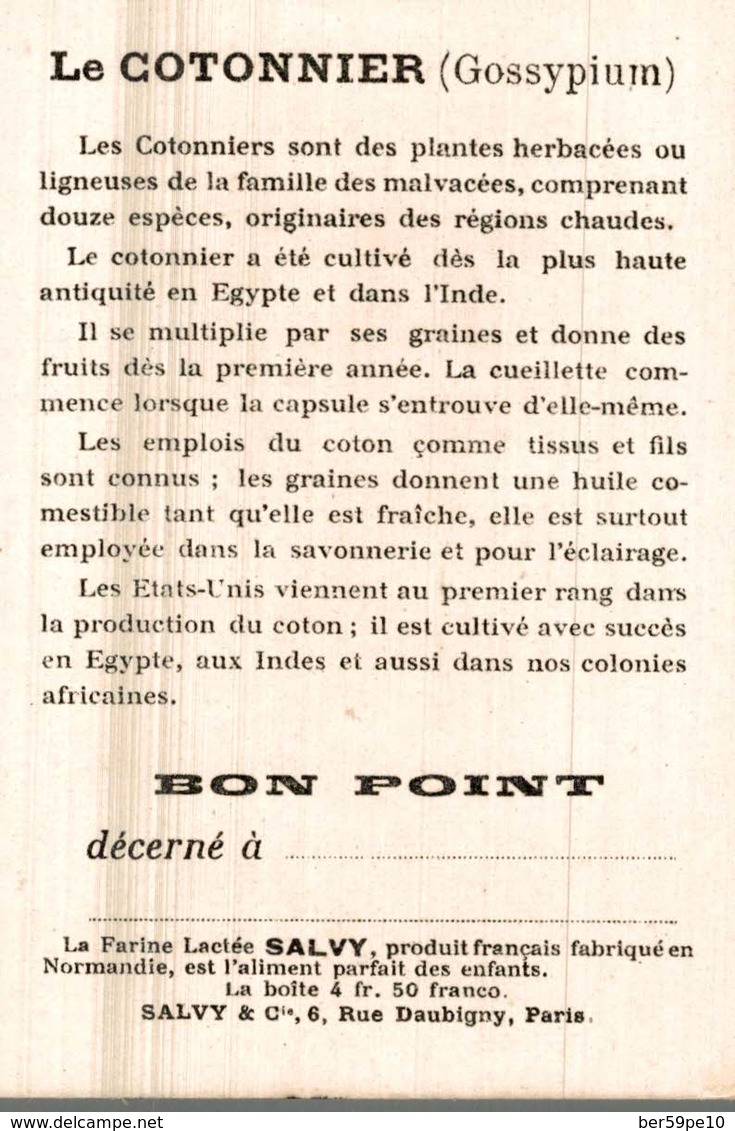 CHROMO BON POINT DRAGEES DE TABUROL MONAL  DANS LES GRANDES CULTURES  LE COTONNIER - Autres & Non Classés