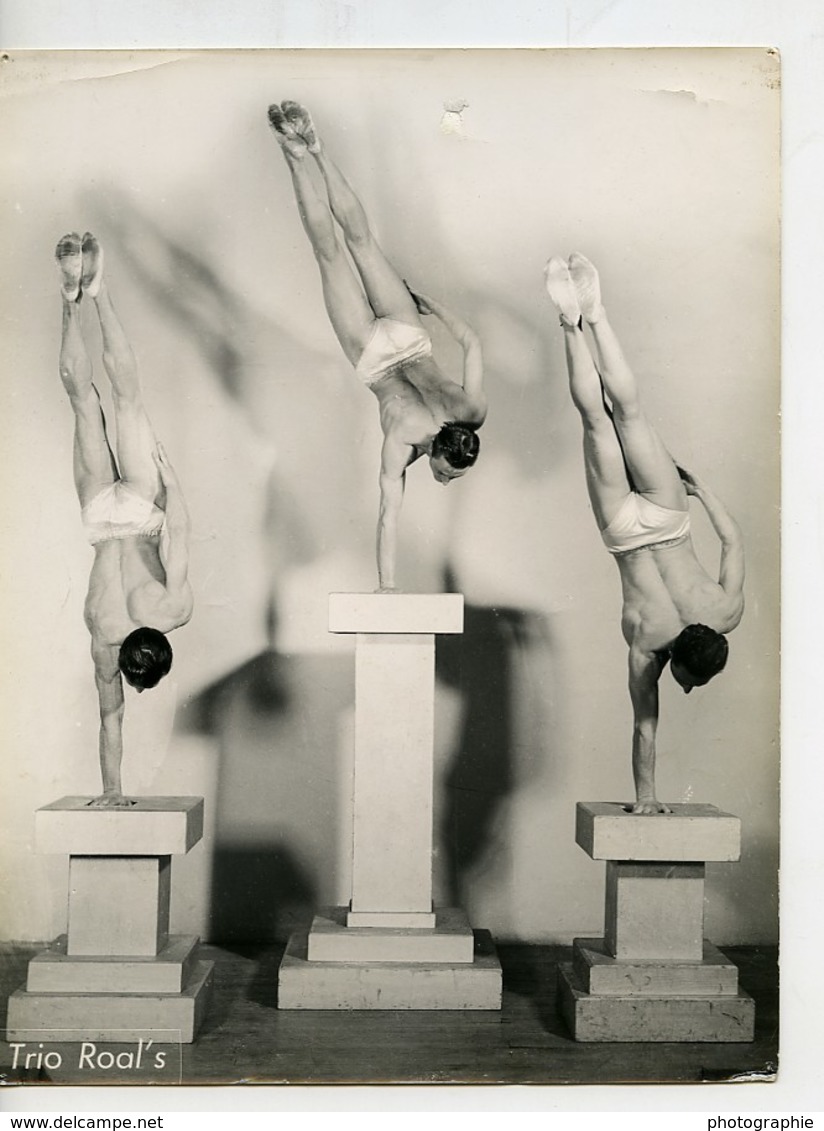 France Artistes De Music Hall Trio Roal's Ancienne Photo 1940 - Personalidades Famosas