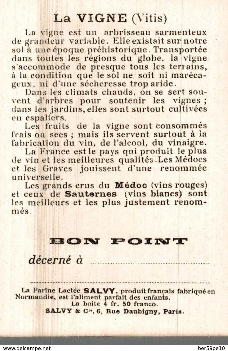 CHROMO BON POINT DRAGEES DE TABUROL MONAL  DANS LES GRANDES CULTURES  LA VIGNE - Otros & Sin Clasificación