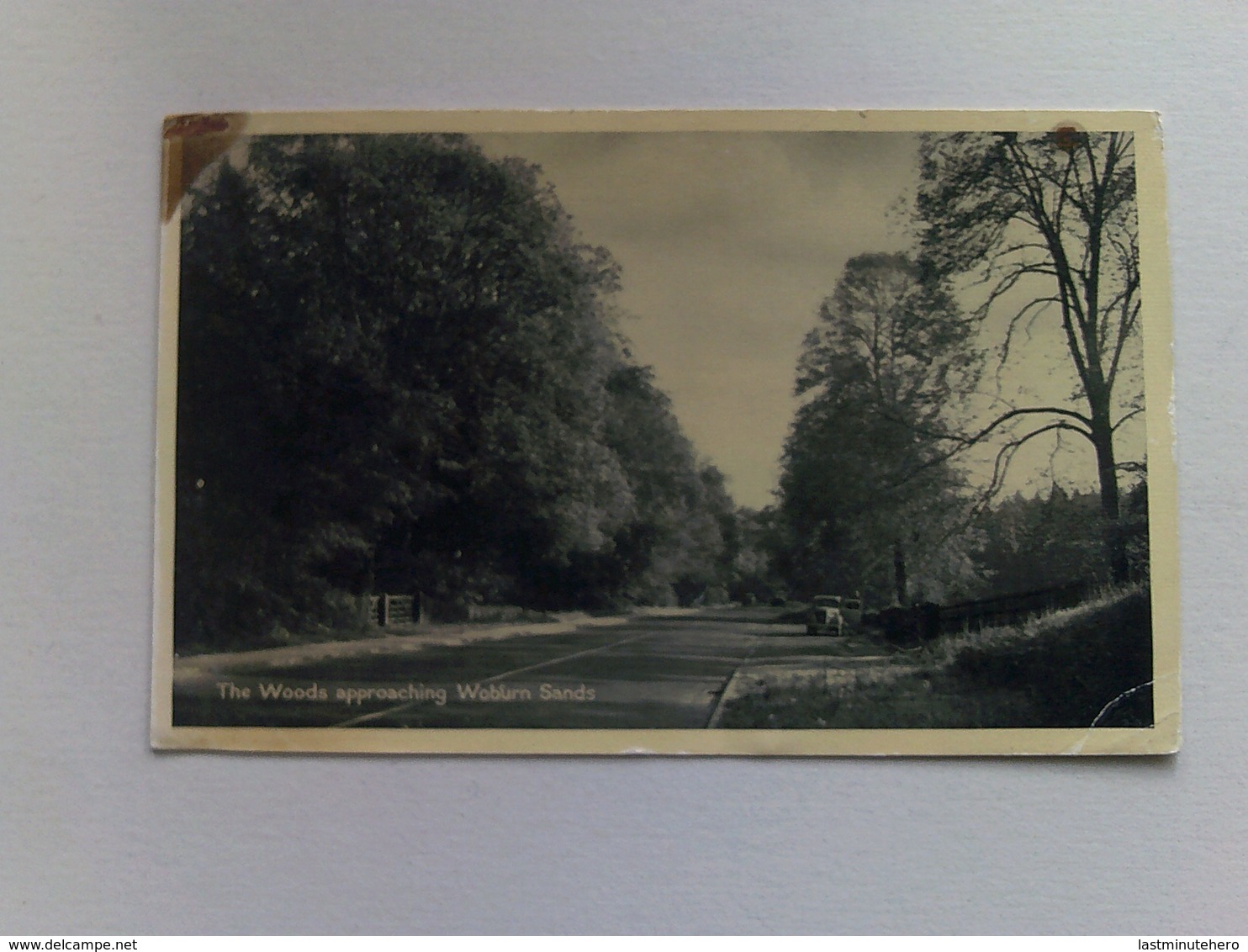 1957 Black And White  Postcard - The Woods Approaching Woburn Sands - Buckinghamshire