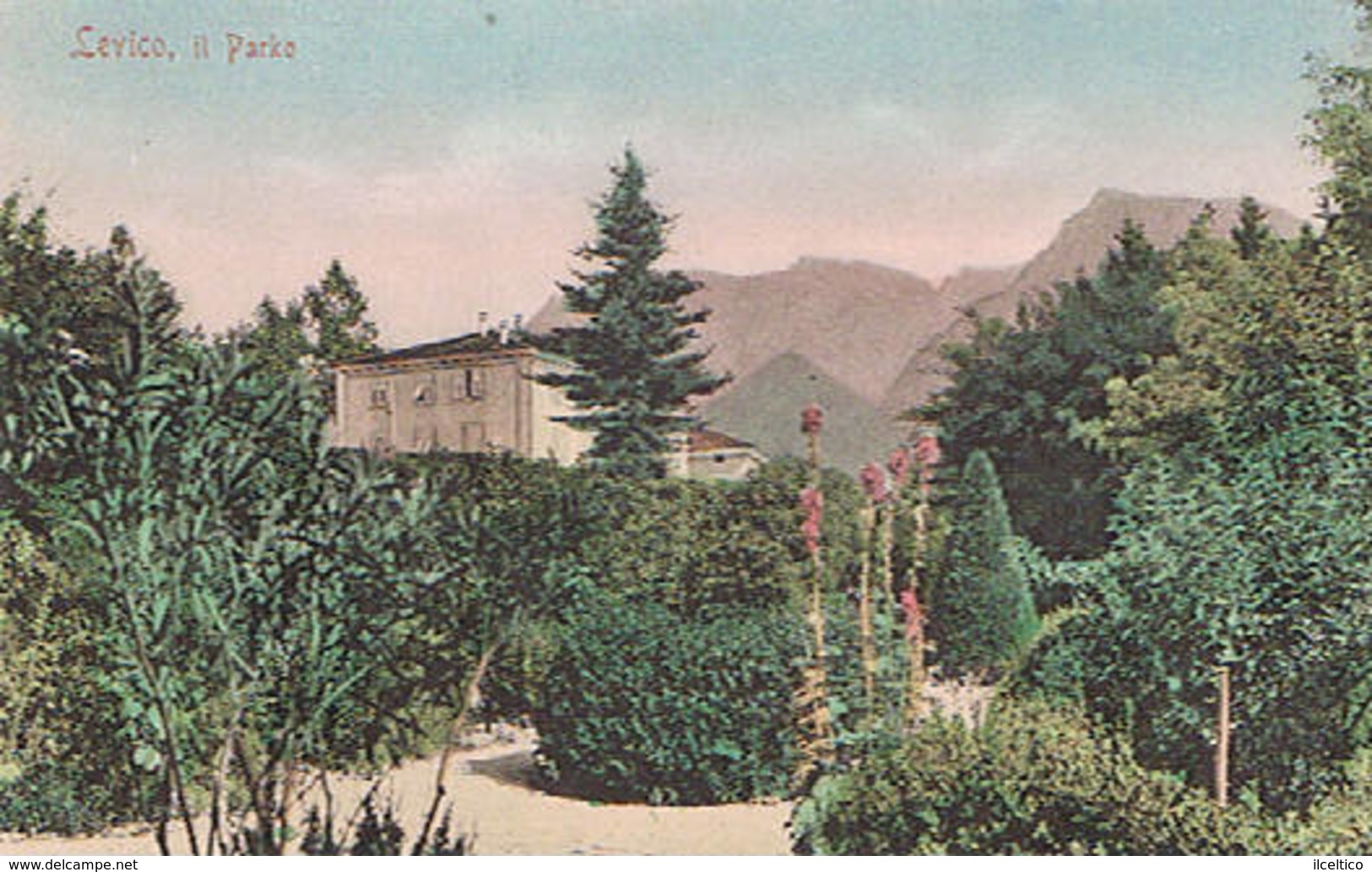 LEVICO  - IL  PARKO - 1906 - Trento