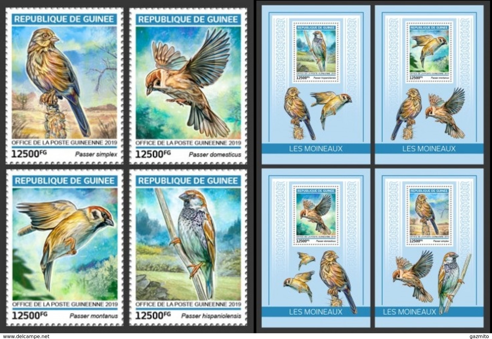 Guinea 2019, Animals, Sparrows, 4val +BF - Moineaux