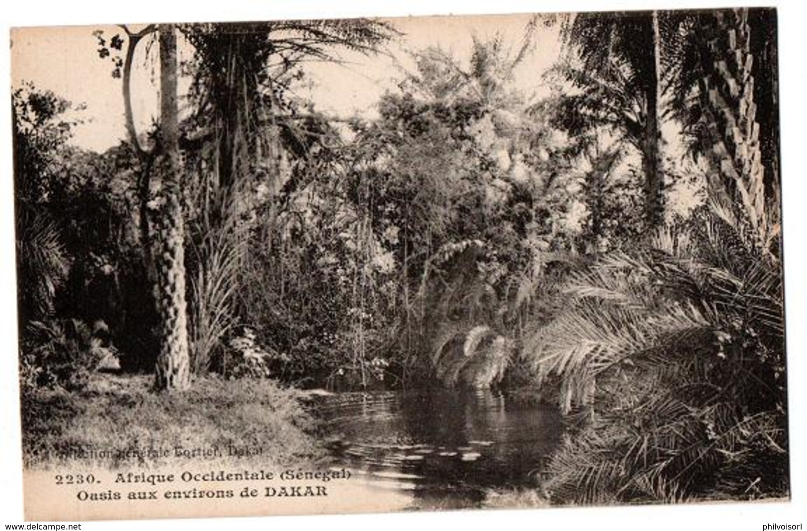 SENEGAL ENVIRONS DE DAKAR UN OASIS - Sénégal