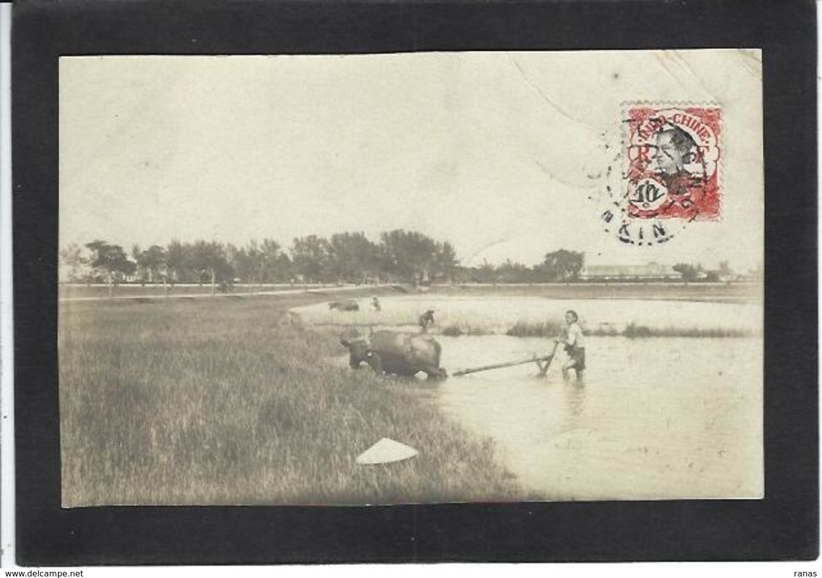 CPA Tonkin Indochine Métier Carte Photo RPPC Circulé - Vietnam