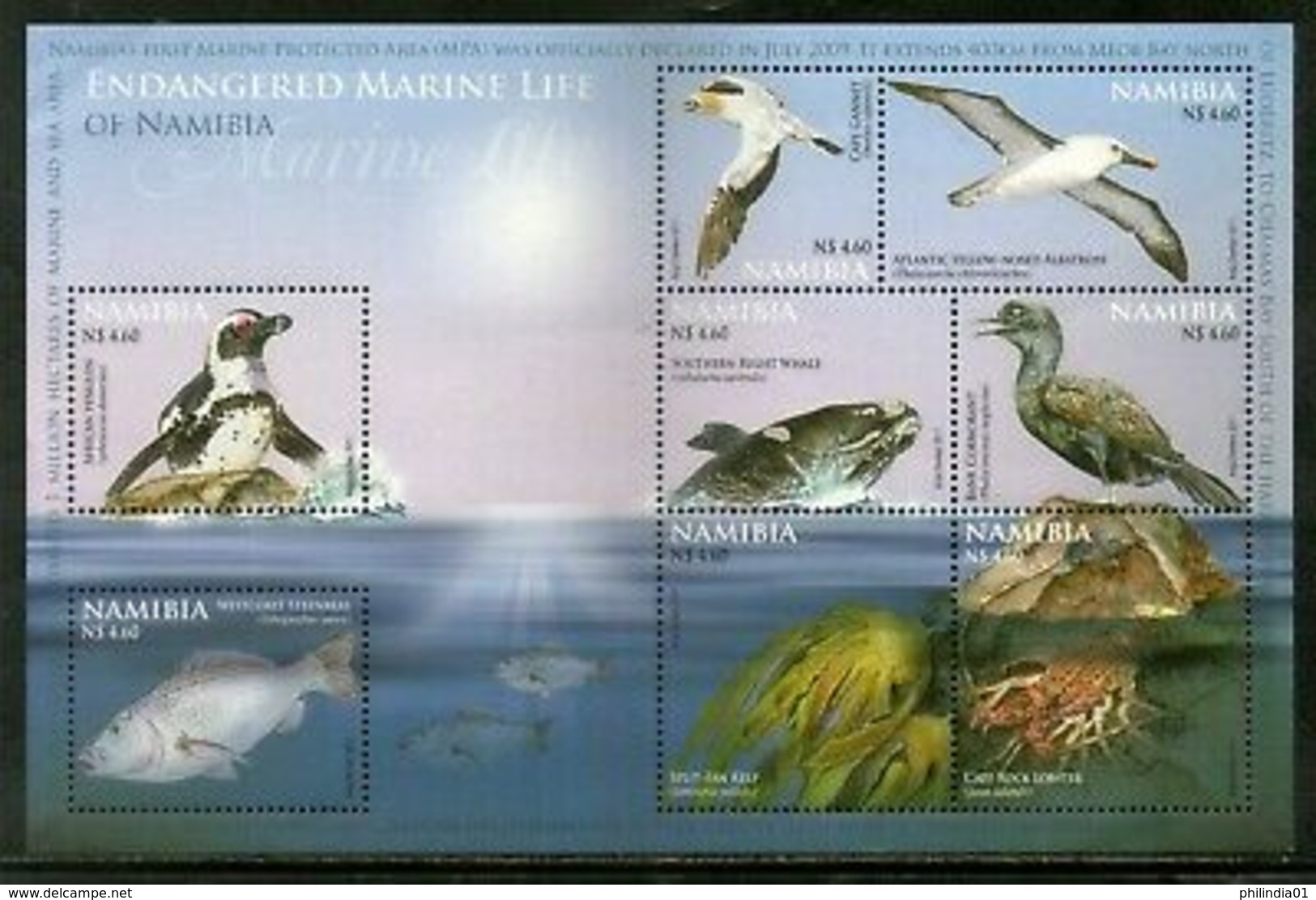 Namibia 2011 Endangered Marine Life Penguin Birds Fish M/s Sc 1206 MNH # 7698 - Namibia (1990- ...)