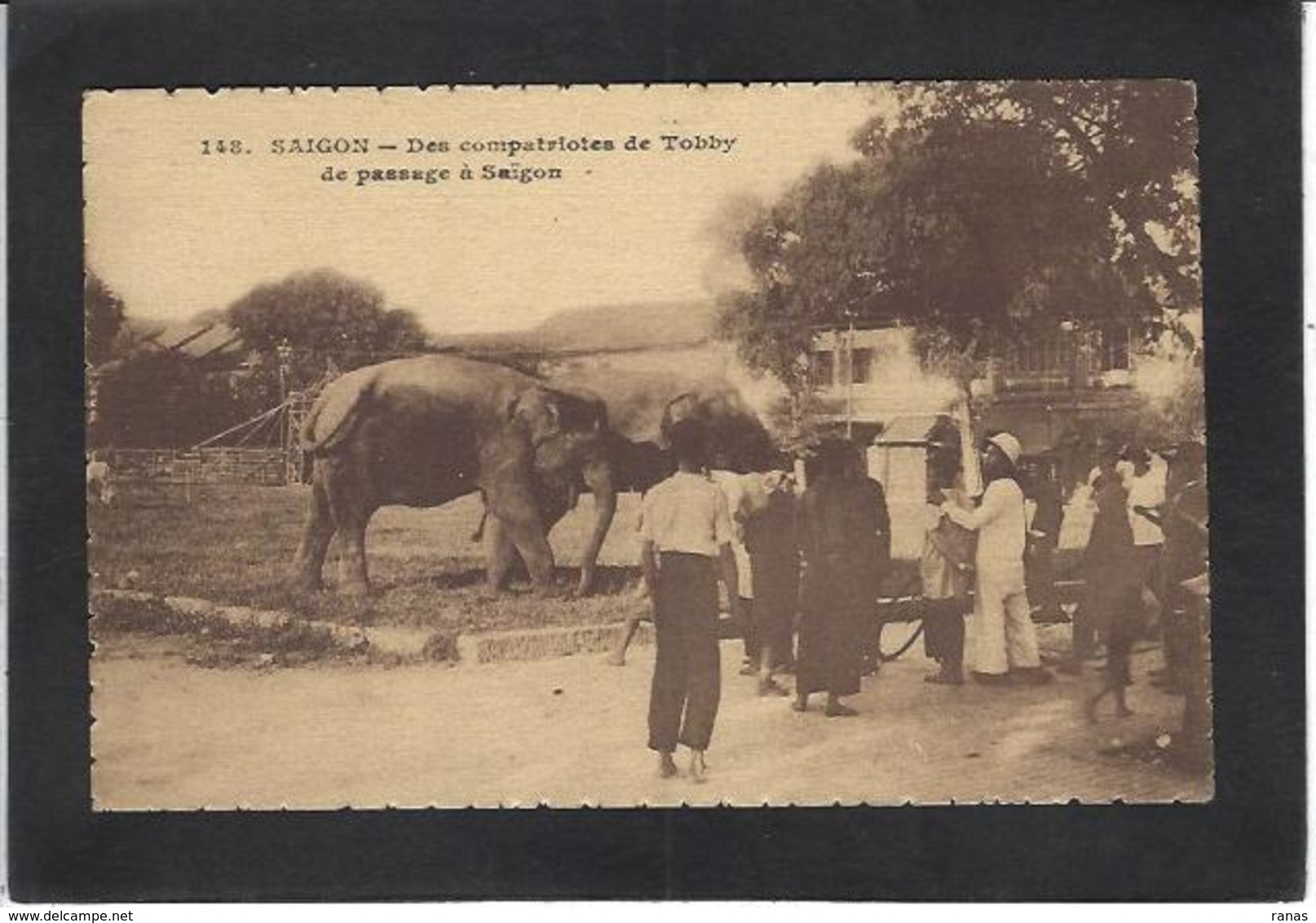 CPA Eléphant Indochine Non Circulé - Vietnam