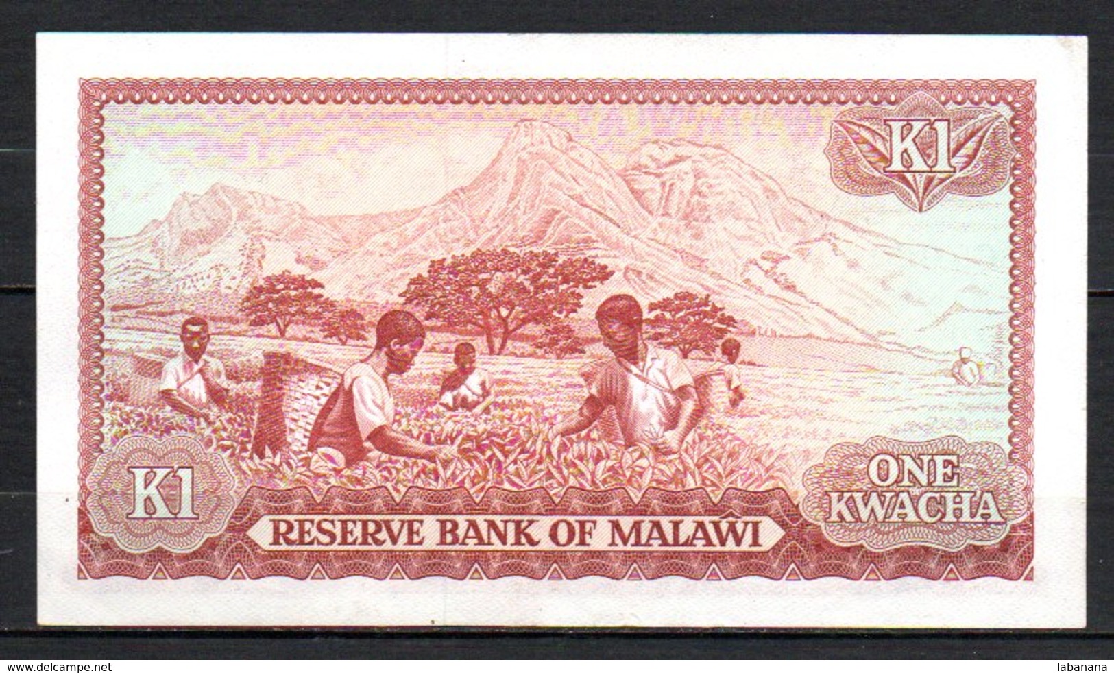 329-Malawi Billet De 1 Kwachz 1984 DDA670 - Malawi