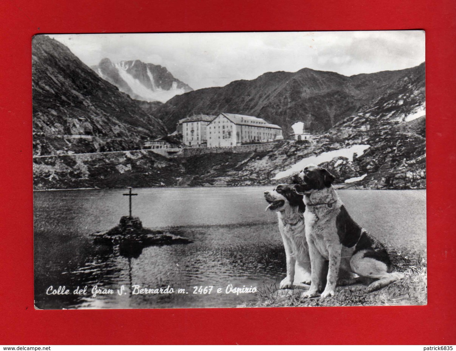 (2)  Colle Del Gran S.Bernardo (AO)- OSPIZIO CANI.  Viaggiata 1961.  Vedi Descrizione. - Altri & Non Classificati