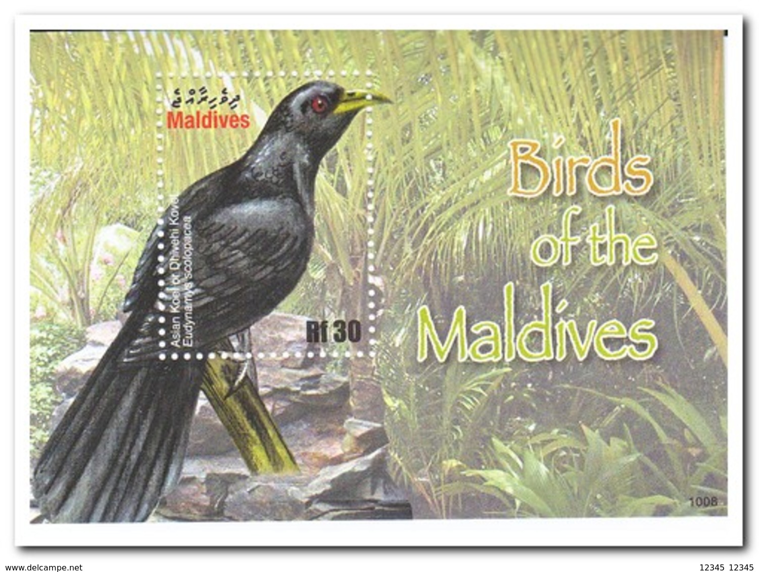 Maldiven 2010, Postfris MNH, Birds - Maldives (1965-...)