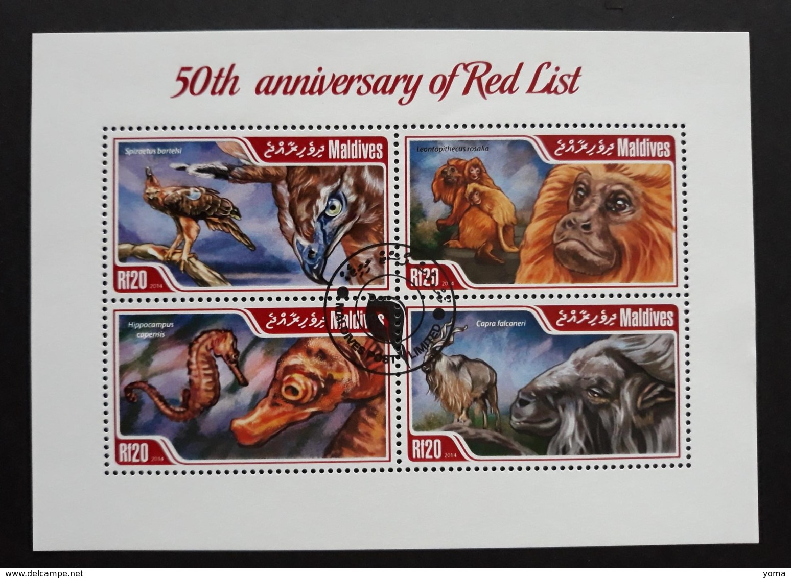 N° 4357 à 4360       Animaux Inscrits Sur La Liste Rouge  -  Oblitérés - Maldives (1965-...)