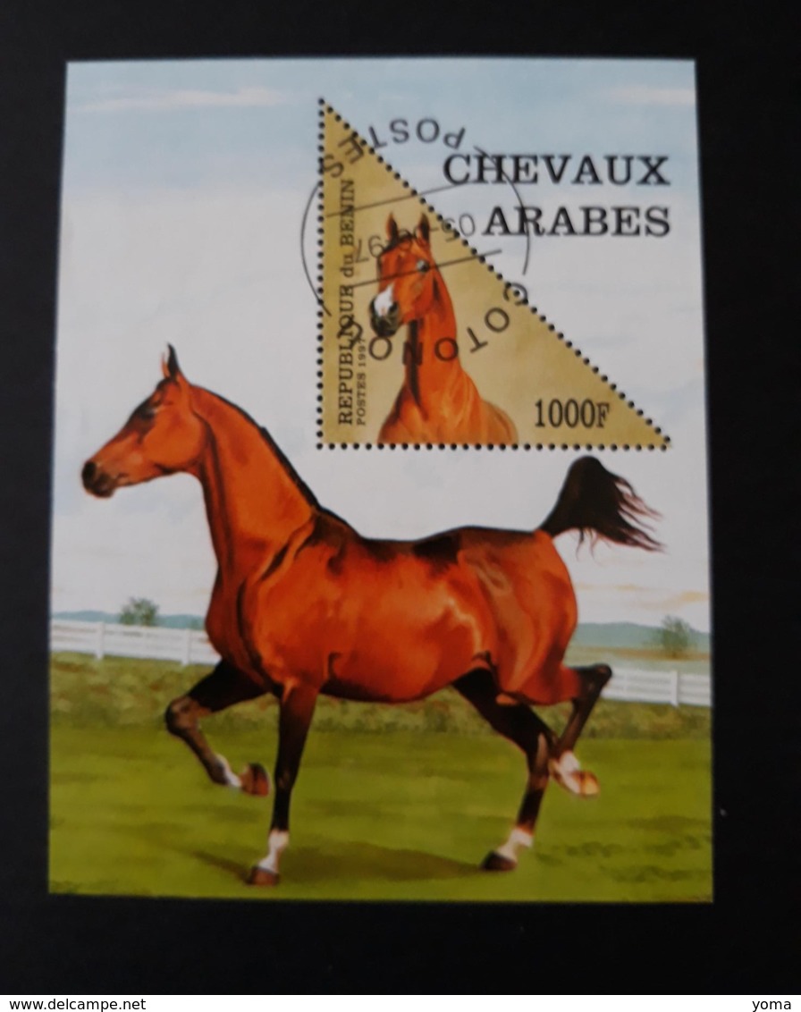 BF N° 34       Cheveaux Arabes  -  Oblitérés - Bénin – Dahomey (1960-...)