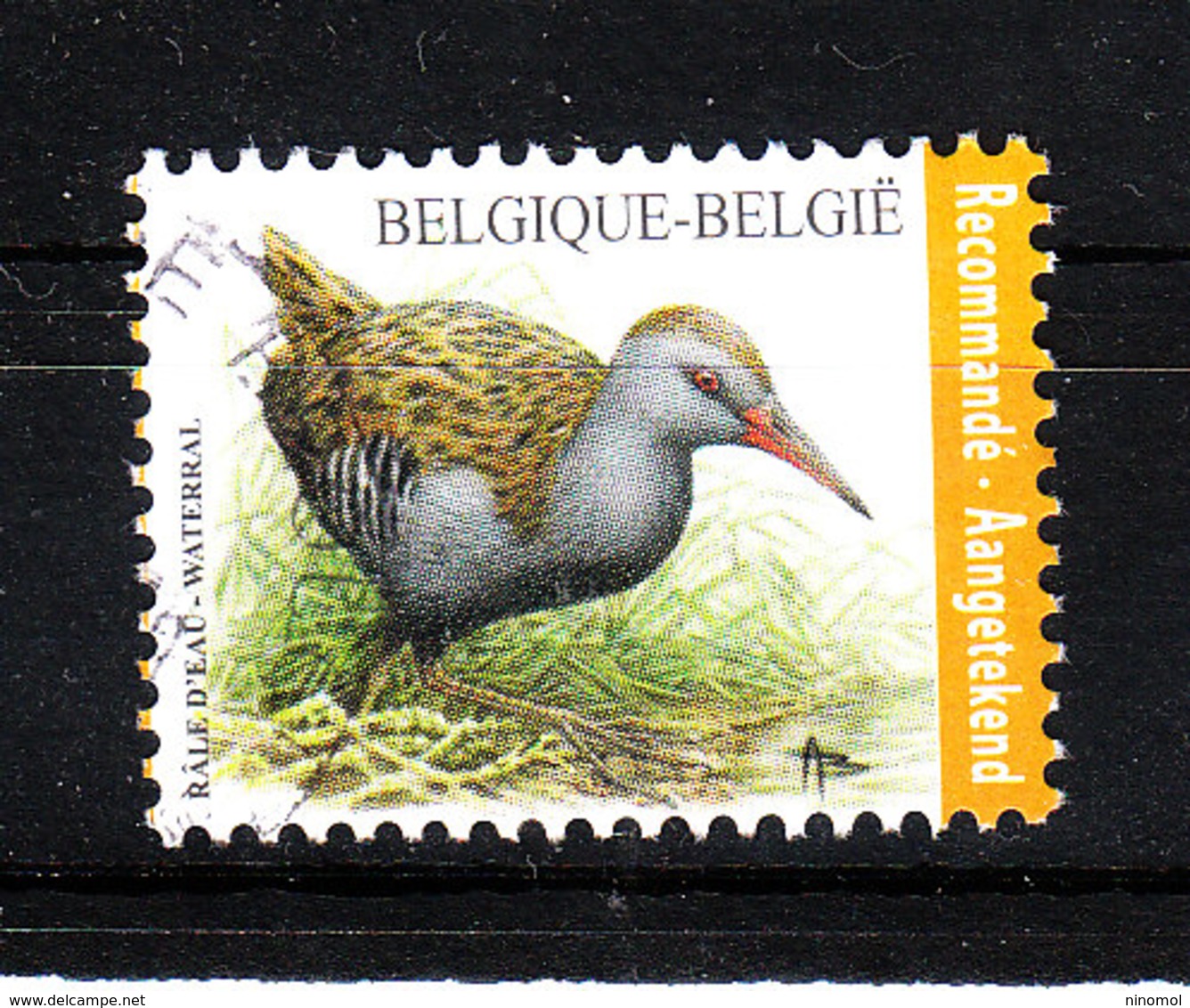 Belgio   -  2017. Beccaccino . Snipe.. Francobollo Per Raccomandate. Stamp For Registered Mail. - Gallináceos & Faisanes