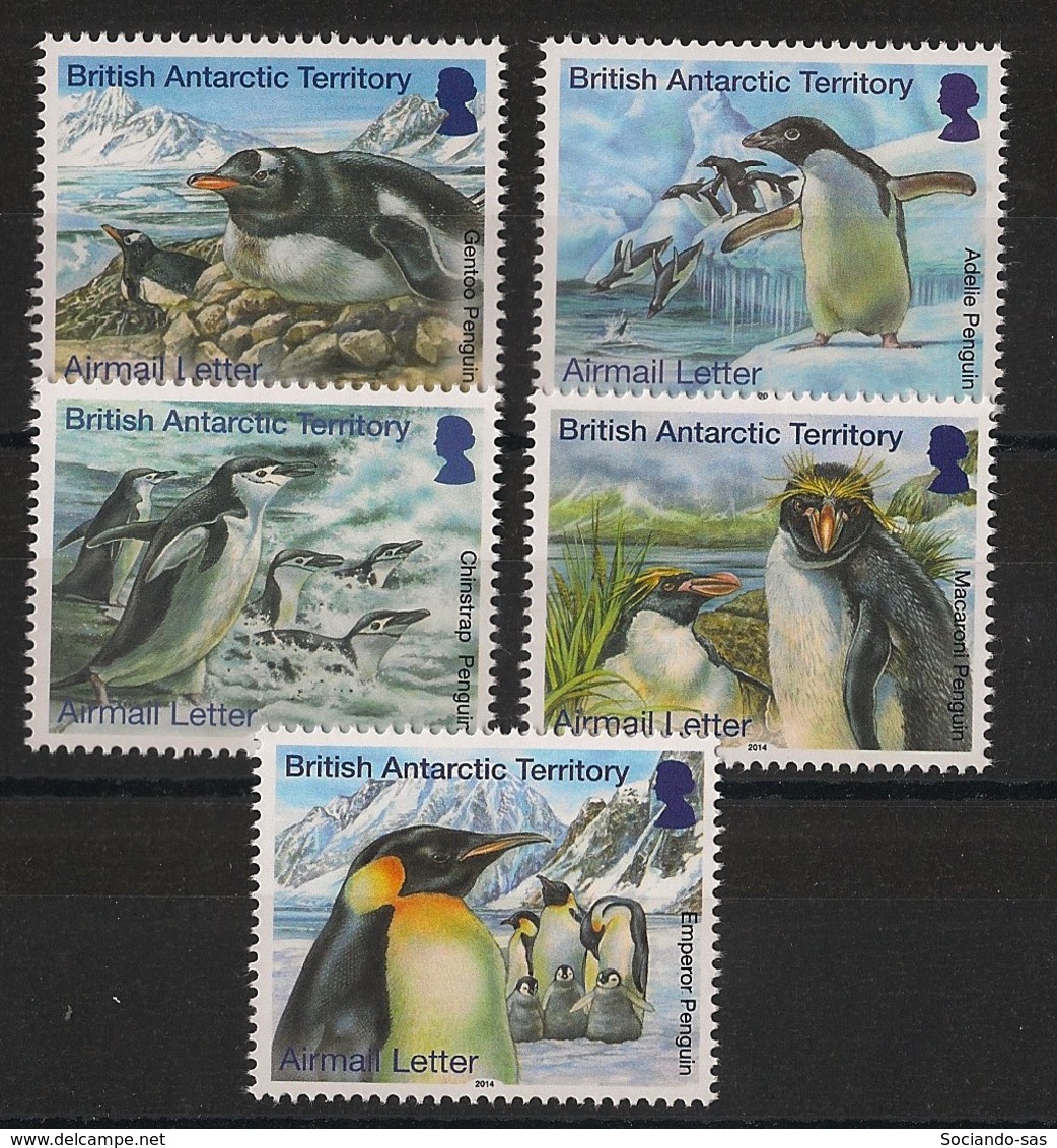 British Antarctic Territory / BAT - 2014 - N°Yv. 627 à 631 - Manchots - Complete Set - Neuf Luxe ** / MNH / Postfrisch - Penguins