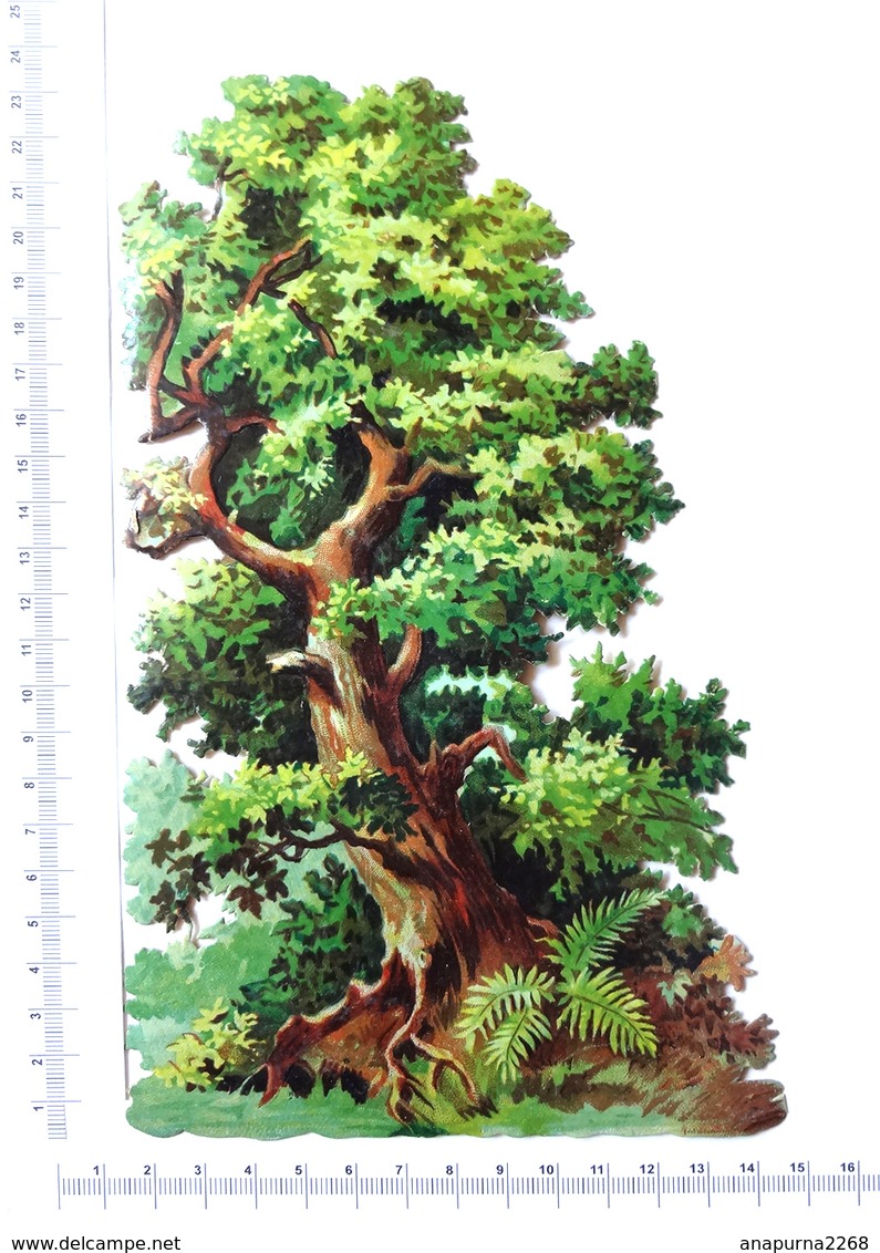 CHROMO DECOUPI  GAUFRE GRAND FORMAT ... .  H : 23 Cm...ARBRE TORTUEUX - Autres & Non Classés