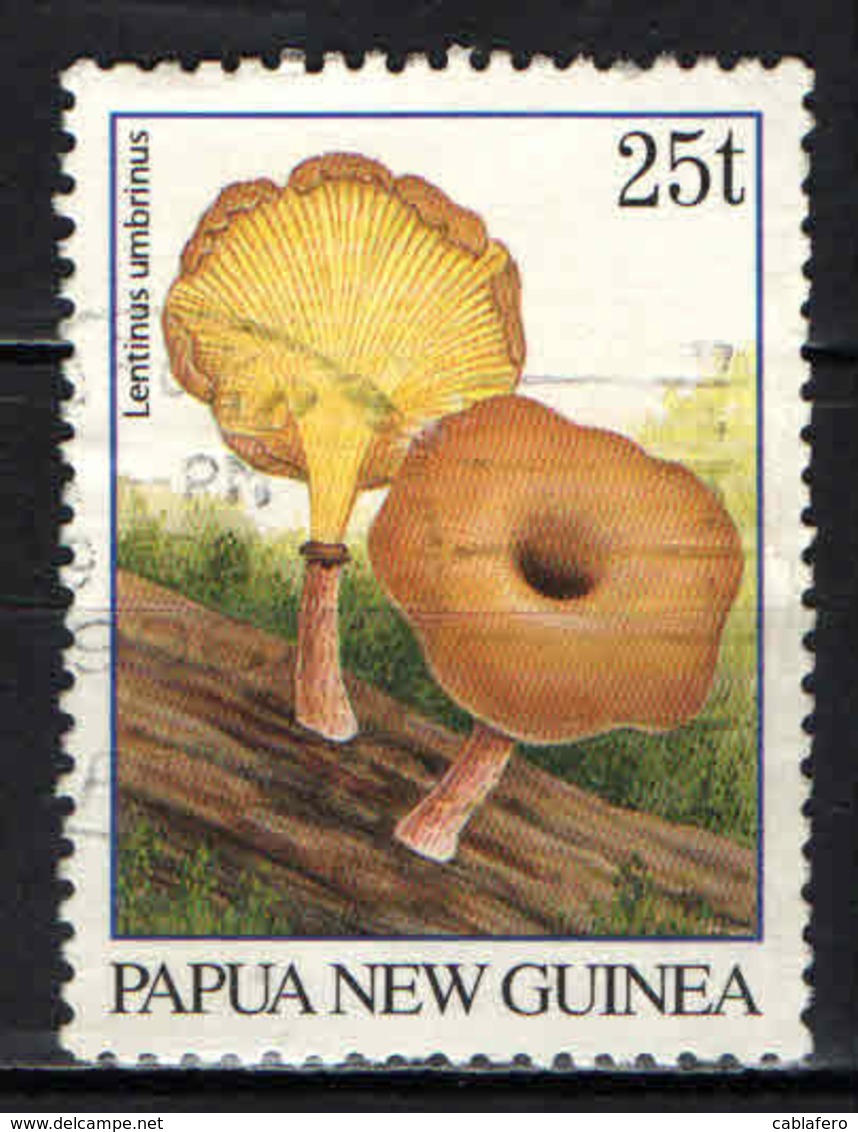 PAPUA NUOVA GUINEA - 1995 - Lentinus Umbrinus - USATO - Papua Nuova Guinea