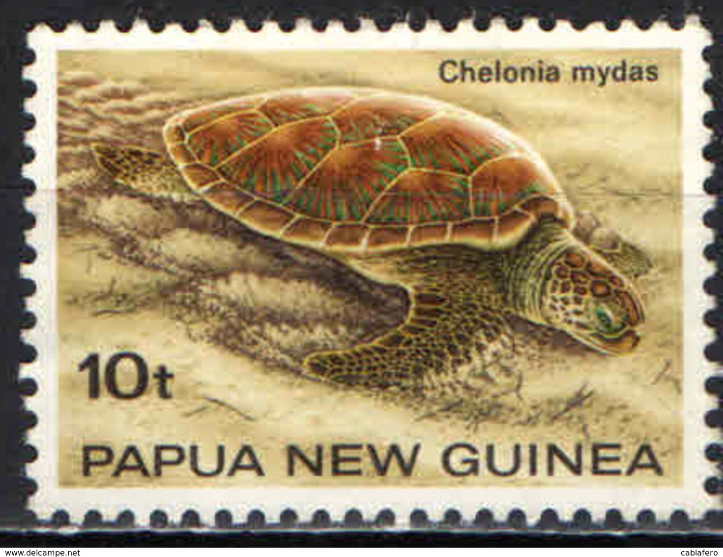 PAPUA NUOVA GUINEA - 1984 - Chelonia Mydas - USATO - Papua Nuova Guinea