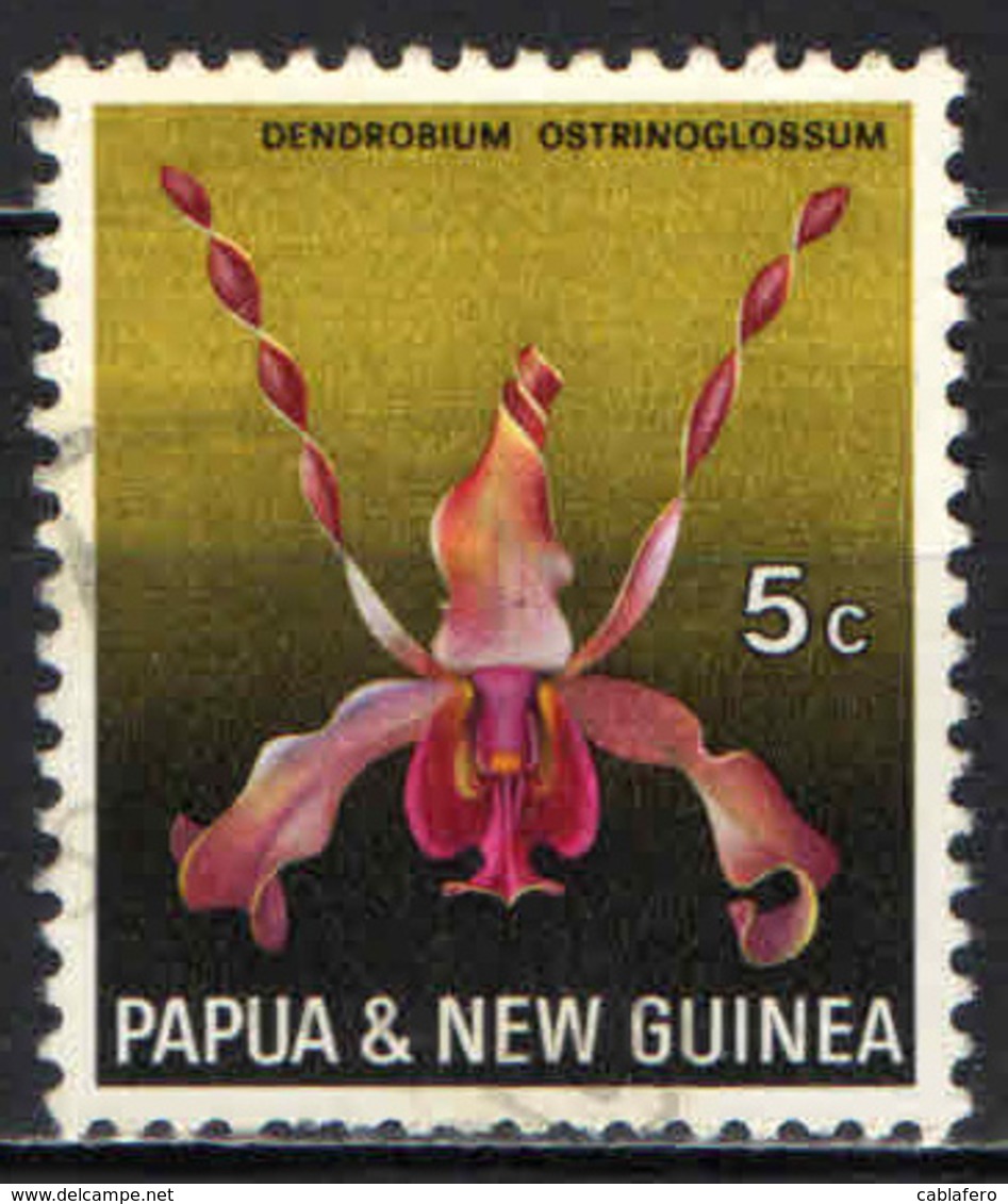 PAPUA NUOVA GUINEA - 1969 - Dendrobium Ostrinoglossum - USATO - Papua Nuova Guinea