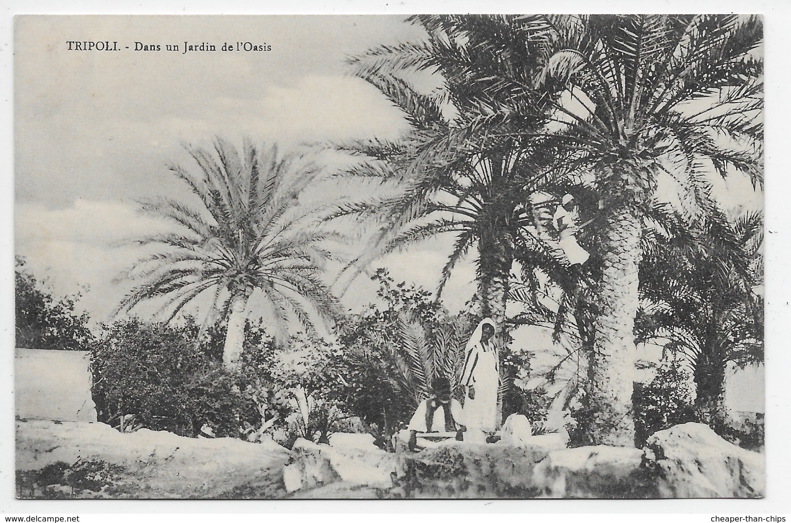 Tripoli - Dans Un Jardin De  L'Oasis - Salah Ben Gemha - Libye