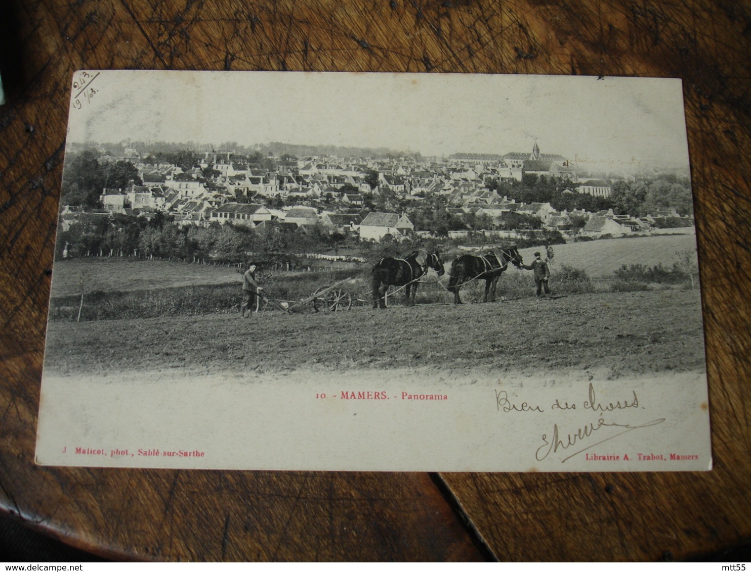 1902 Mamers Panorama Attelage Charrue Chevaux - Mamers