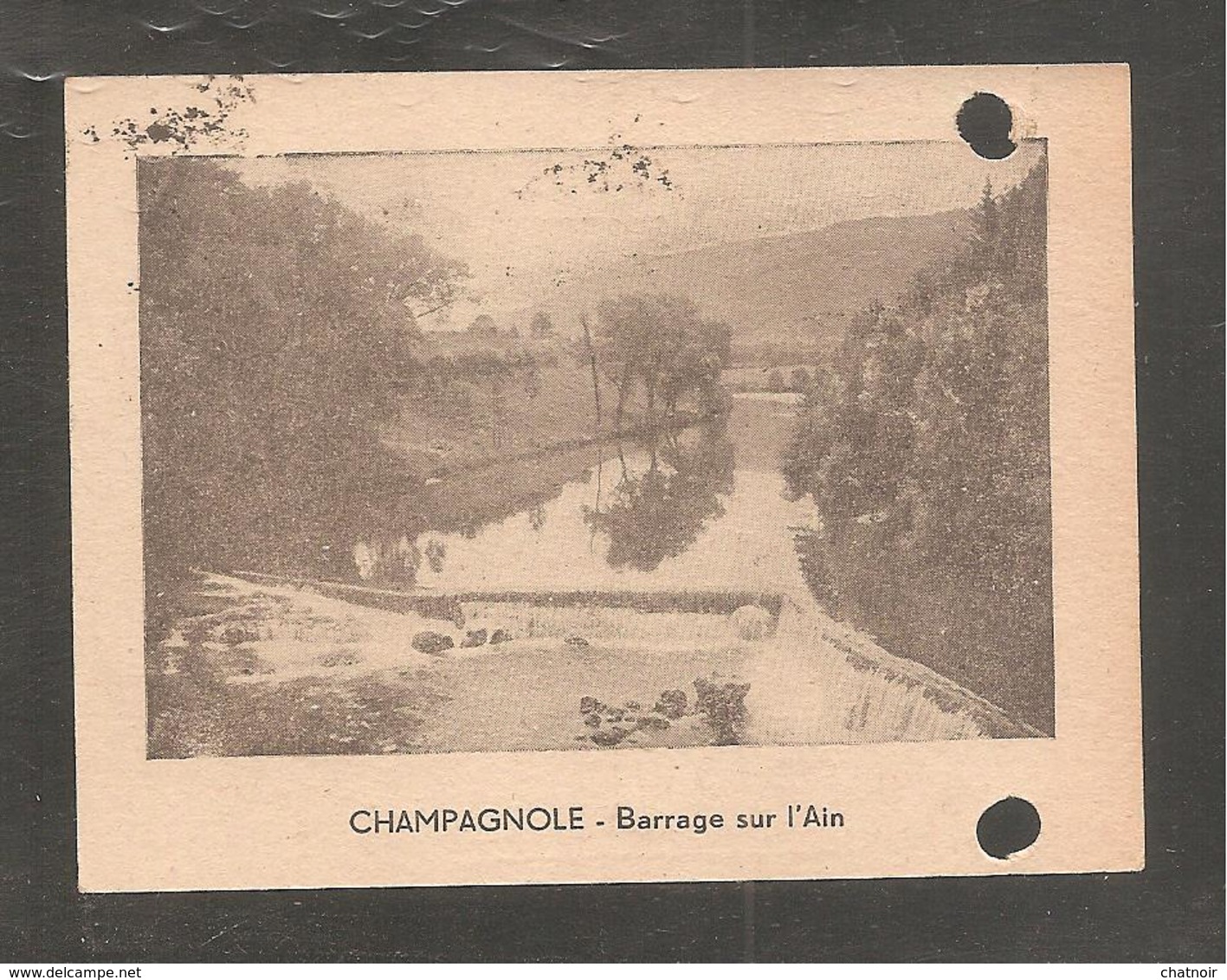 Marianne De Dulac Sur  Petite Carte 105mm X 80 Mm  Barrage Sur L 'ain  Oblit CHAMPAGNOLE  JURA - Champagnole