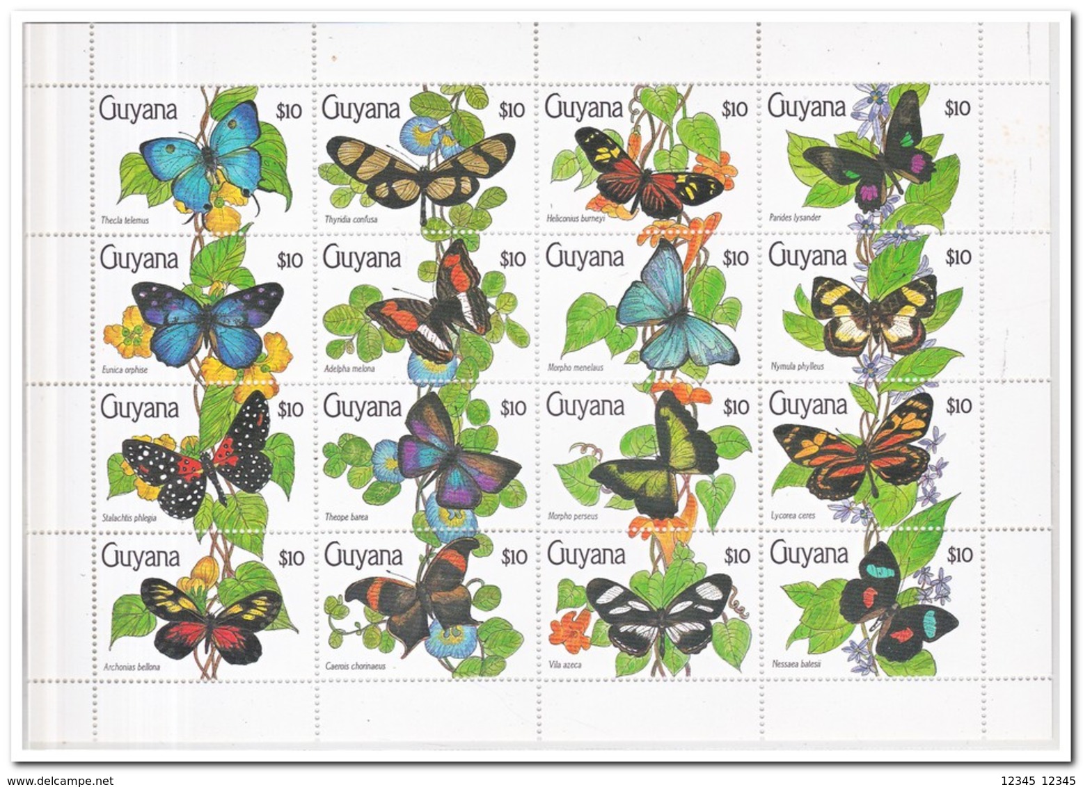 Guyana 1990, Postfris MNH, Butterflies ( Complete Set ) - Guyana (1966-...)