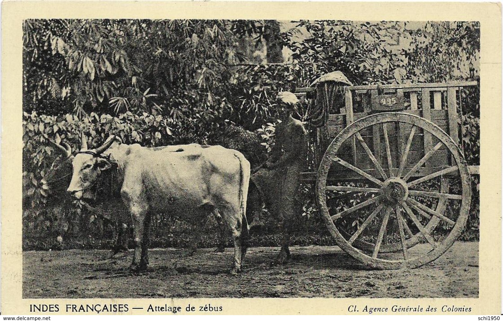 ~  SB  ~     INDES   FRANCAISES    ~  Attelage De Zébus       ~ - India