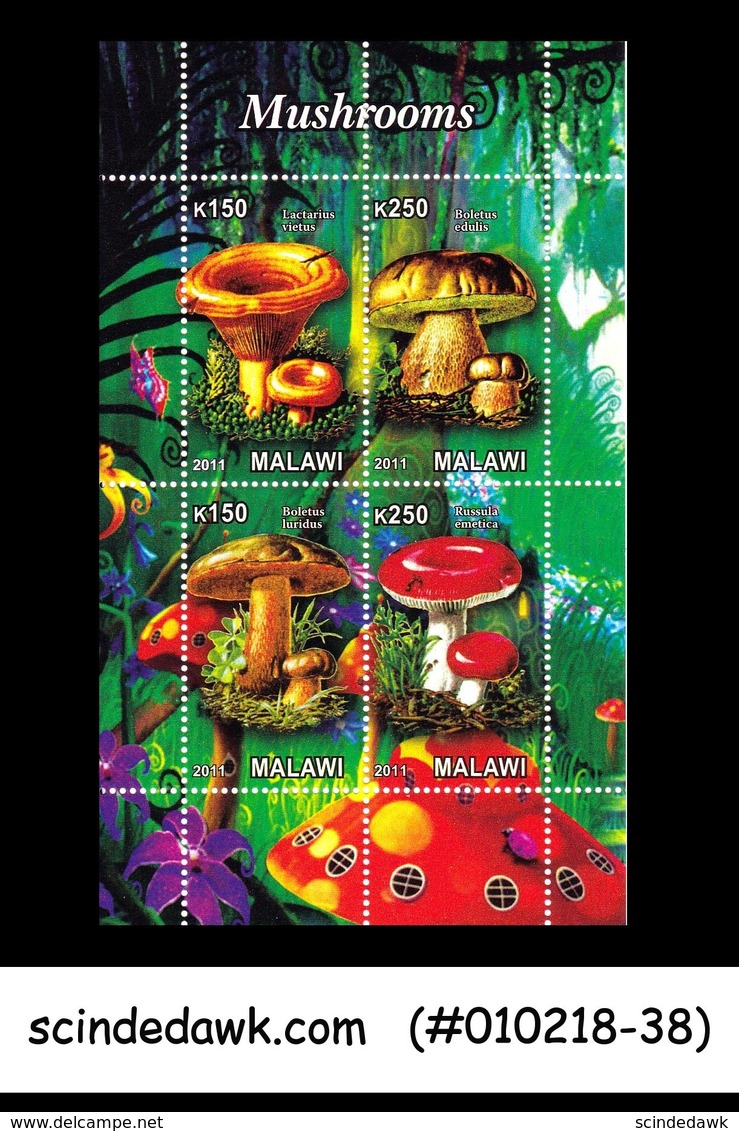 MALAWI - 2011 MUSHROOMS / FUNGUS - MINIATURE SHEET MNH - Malawi (1964-...)